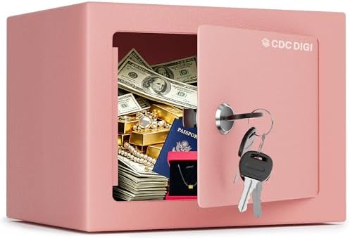 Digital Electronic Money Safe, Steel Security Lock Box with Keypad, Office Hotel Business Jewelry Cash Safe, 0.23 Cubic Feet, 9.06 inch W x 6.69 inch D x 6.69 inch H, black